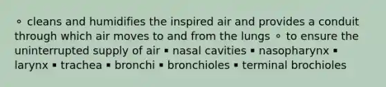 ⚬ cleans and humidifies the inspired air and provides a conduit through which air moves to and from the lungs ⚬ to ensure the uninterrupted supply of air ￭ nasal cavities ￭ nasopharynx ￭ larynx ￭ trachea ￭ bronchi ￭ bronchioles ￭ terminal brochioles