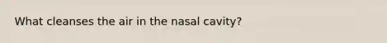 What cleanses the air in the nasal cavity?