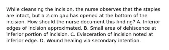 While cleansing the incision, the nurse observes that the staples are intact, but a 2-cm gap has opened at the bottom of the incision. How should the nurse document this finding? A. Inferior edges of incision approximated. B. Small area of dehiscence at inferior portion of incision. C. Evisceration of incision noted at inferior edge. D. Wound healing via secondary intention.