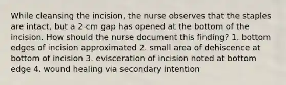 While cleansing the incision, the nurse observes that the staples are intact, but a 2-cm gap has opened at the bottom of the incision. How should the nurse document this finding? 1. bottom edges of incision approximated 2. small area of dehiscence at bottom of incision 3. evisceration of incision noted at bottom edge 4. wound healing via secondary intention