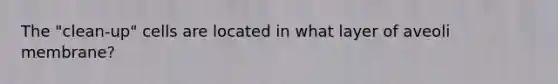 The "clean-up" cells are located in what layer of aveoli membrane?