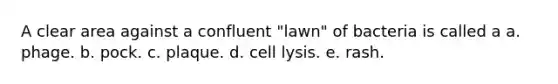 A clear area against a confluent "lawn" of bacteria is called a a. phage. b. pock. c. plaque. d. cell lysis. e. rash.