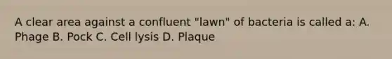 A clear area against a confluent "lawn" of bacteria is called a: A. Phage B. Pock C. Cell lysis D. Plaque