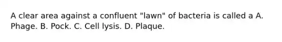 A clear area against a confluent "lawn" of bacteria is called a A. Phage. B. Pock. C. Cell lysis. D. Plaque.