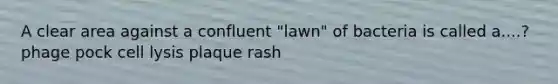 A clear area against a confluent "lawn" of bacteria is called a....? phage pock cell lysis plaque rash