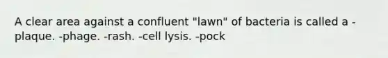 A clear area against a confluent "lawn" of bacteria is called a -plaque. -phage. -rash. -cell lysis. -pock