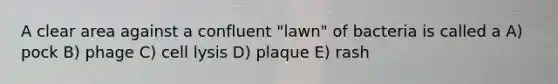 A clear area against a confluent "lawn" of bacteria is called a A) pock B) phage C) cell lysis D) plaque E) rash