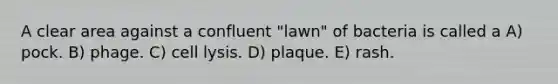 A clear area against a confluent "lawn" of bacteria is called a A) pock. B) phage. C) cell lysis. D) plaque. E) rash.