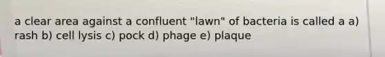 a clear area against a confluent "lawn" of bacteria is called a a) rash b) cell lysis c) pock d) phage e) plaque