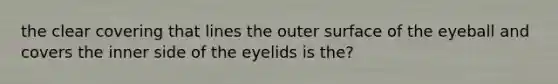 the clear covering that lines the outer surface of the eyeball and covers the inner side of the eyelids is the?