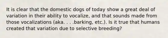 It is clear that the domestic dogs of today show a great deal of variation in their ability to vocalize, and that sounds made from those vocalizations (aka. . . .barking, etc.). Is it true that humans created that variation due to selective breeding?