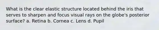 What is the clear elastic structure located behind the iris that serves to sharpen and focus visual rays on the globe's posterior surface? a. Retina b. Cornea c. Lens d. Pupil