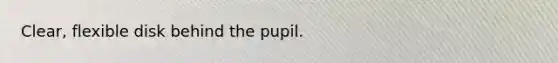Clear, flexible disk behind the pupil.