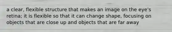 a clear, flexible structure that makes an image on the eye's retina; it is flexible so that it can change shape, focusing on objects that are close up and objects that are far away