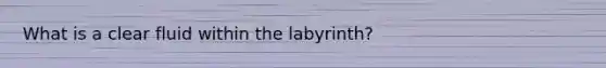 What is a clear fluid within the labyrinth?