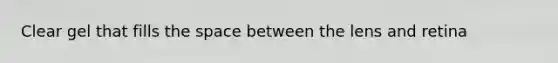 Clear gel that fills the space between the lens and retina