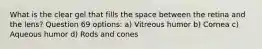 What is the clear gel that fills the space between the retina and the lens? Question 69 options: a) Vitreous humor b) Cornea c) Aqueous humor d) Rods and cones