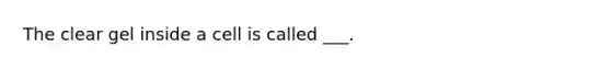 The clear gel inside a cell is called ___.