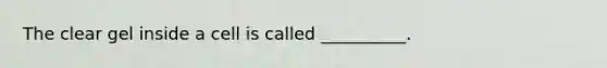 The clear gel inside a cell is called __________.