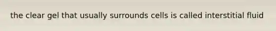 the clear gel that usually surrounds cells is called interstitial fluid