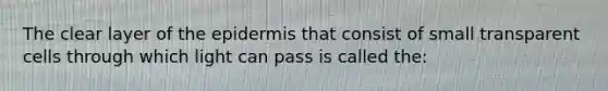 The clear layer of the epidermis that consist of small transparent cells through which light can pass is called the: