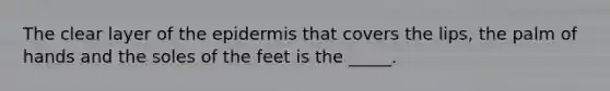 The clear layer of the epidermis that covers the lips, the palm of hands and the soles of the feet is the _____.