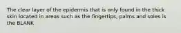 The clear layer of the epidermis that is only found in the thick skin located in areas such as the fingertips, palms and soles is the BLANK