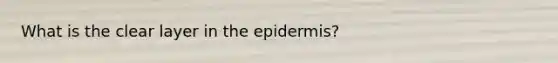 What is the clear layer in <a href='https://www.questionai.com/knowledge/kBFgQMpq6s-the-epidermis' class='anchor-knowledge'>the epidermis</a>?