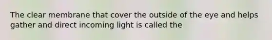 The clear membrane that cover the outside of the eye and helps gather and direct incoming light is called the