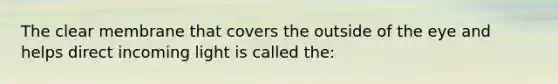 The clear membrane that covers the outside of the eye and helps direct incoming light is called the: