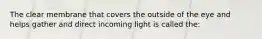 The clear membrane that covers the outside of the eye and helps gather and direct incoming light is called the: