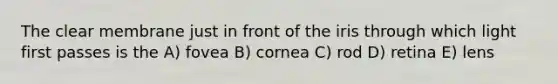 The clear membrane just in front of the iris through which light first passes is the A) fovea B) cornea C) rod D) retina E) lens