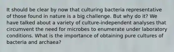 It should be clear by now that culturing bacteria representative of those found in nature is a big challenge. But why do it? We have talked about a variety of culture-independent analyses that circumvent the need for microbes to enumerate under laboratory conditions. What is the importance of obtaining pure cultures of bacteria and archaea?