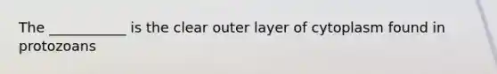 The ___________ is the clear outer layer of cytoplasm found in protozoans