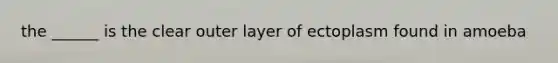 the ______ is the clear outer layer of ectoplasm found in amoeba