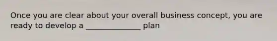 Once you are clear about your overall business concept, you are ready to develop a ______________ plan