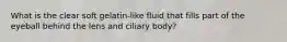 What is the clear soft gelatin-like fluid that fills part of the eyeball behind the lens and ciliary body?