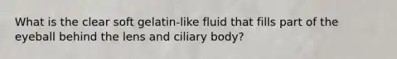 What is the clear soft gelatin-like fluid that fills part of the eyeball behind the lens and ciliary body?