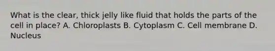 What is the clear, thick jelly like fluid that holds the parts of the cell in place? A. Chloroplasts B. Cytoplasm C. Cell membrane D. Nucleus