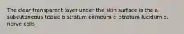 The clear transparent layer under the skin surface is the a. subcutaneous tissue b stratum corneum c. stratum lucidum d. nerve cells