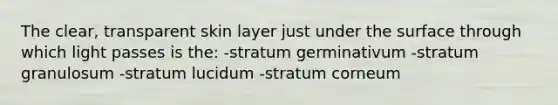 The clear, transparent skin layer just under the surface through which light passes is the: -stratum germinativum -stratum granulosum -stratum lucidum -stratum corneum