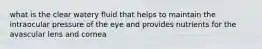 what is the clear watery fluid that helps to maintain the intraocular pressure of the eye and provides nutrients for the avascular lens and cornea