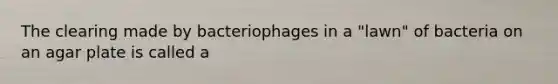 The clearing made by bacteriophages in a "lawn" of bacteria on an agar plate is called a