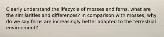 Clearly understand the lifecycle of mosses and ferns, what are the similarities and differences? In comparison with mosses, why do we say ferns are increasingly better adapted to the terrestrial environment?