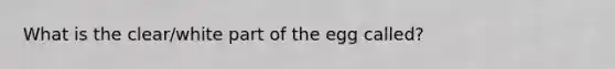 What is the clear/white part of the egg called?