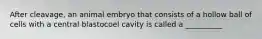 After cleavage, an animal embryo that consists of a hollow ball of cells with a central blastocoel cavity is called a __________