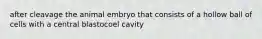 after cleavage the animal embryo that consists of a hollow ball of cells with a central blastocoel cavity