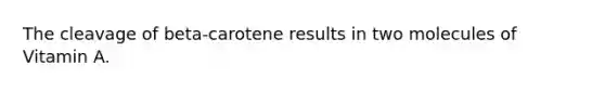 The cleavage of beta-carotene results in two molecules of Vitamin A.