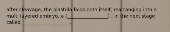 after cleavage, the blastula folds onto itself, rearranging into a multi layered embryo, a (_________________) , in the next stage called ____________________.