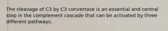 The cleavage of C3 by C3 convertase is an essential and central step in the complement cascade that can be activated by three different pathways.